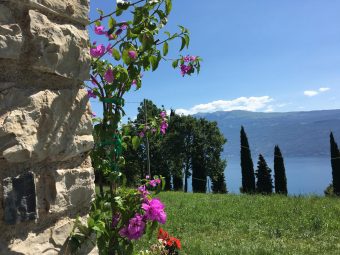 Ferme Maison Castagneto