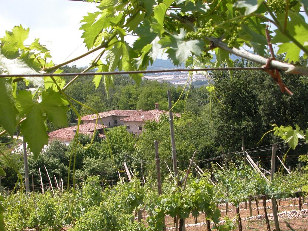 Agriturismo Ca' Verde - accommodation in Sant'Ambrogio di Valpolicella Lake Garda