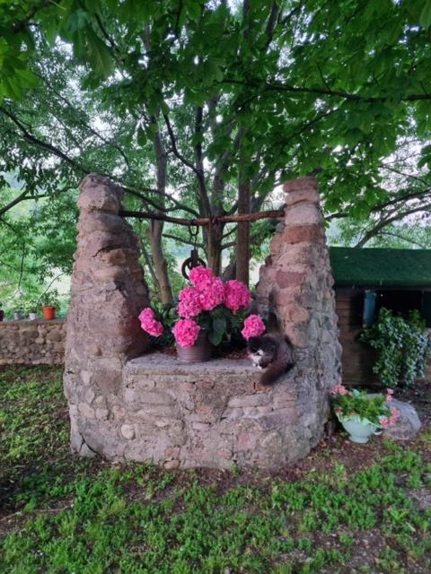 Agriturismo Case in Collina - farm holidays in Volta Mantovana Lake Garda