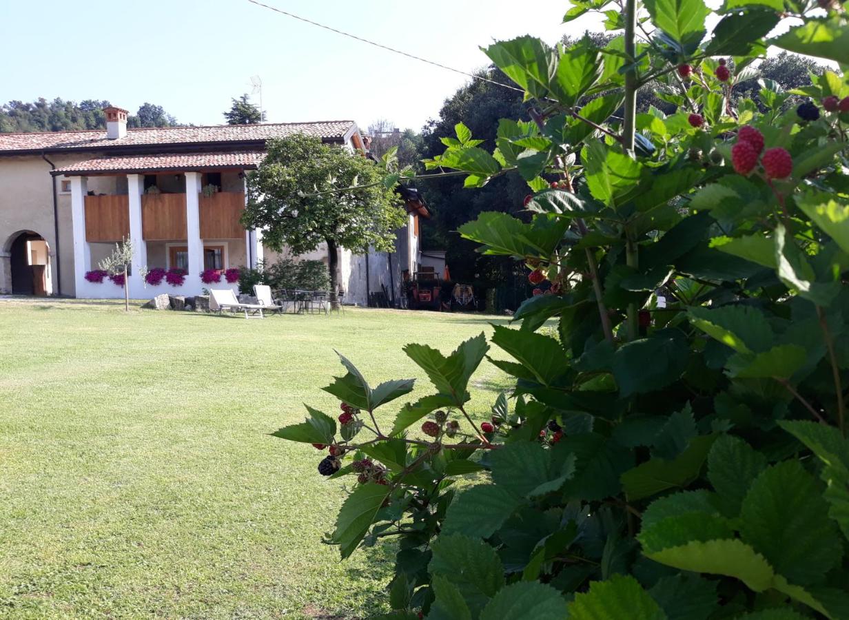 Agriturismo la Scala - hotels in Salò Lake Garda