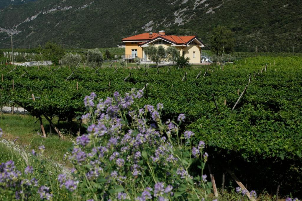Appartamenti Al Vigneto - holiday apartments in Dro Lake Garda