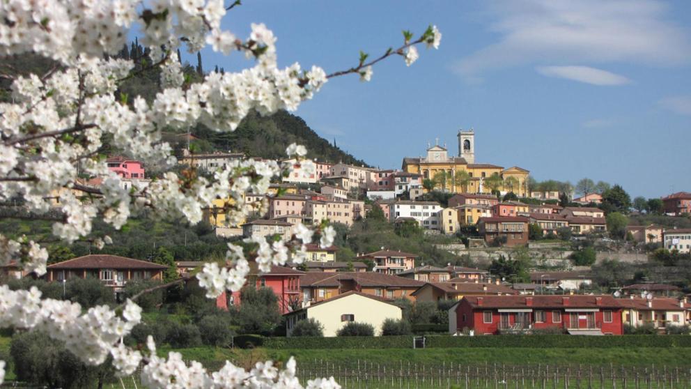 Aurora - bed and breakfast in Cavaion Veronese Lake Garda