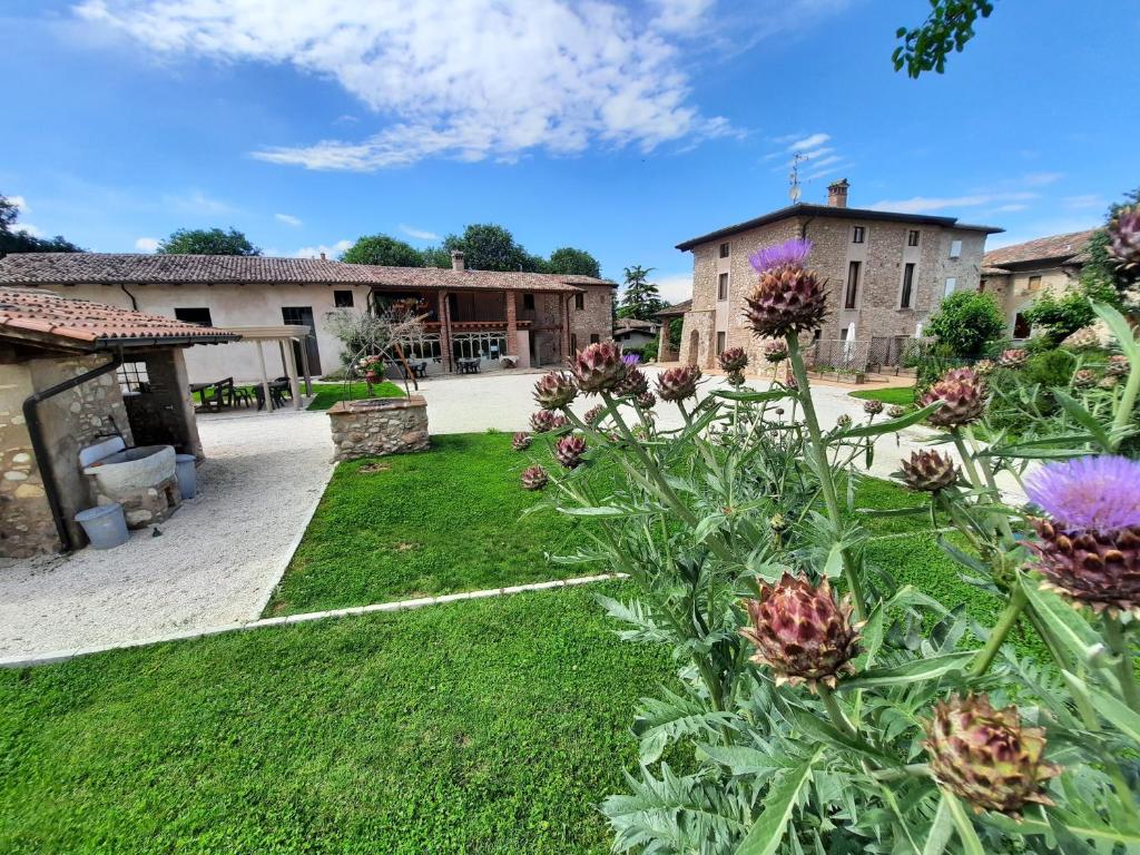 Corte Davini Agriturismo - farm holidays in Monzambano Lake Garda