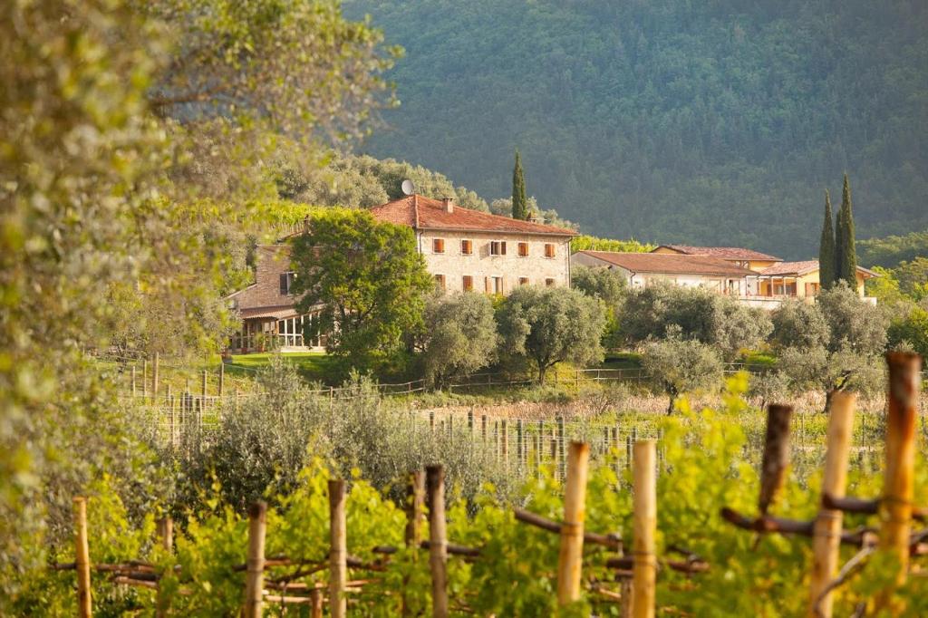 Costa degli Ulivi - 3 star hotels in Fumane Lake Garda