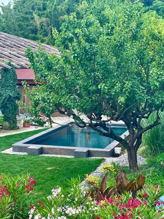 DeLax B&B - adults only - bed and breakfast in Solferino Lake Garda