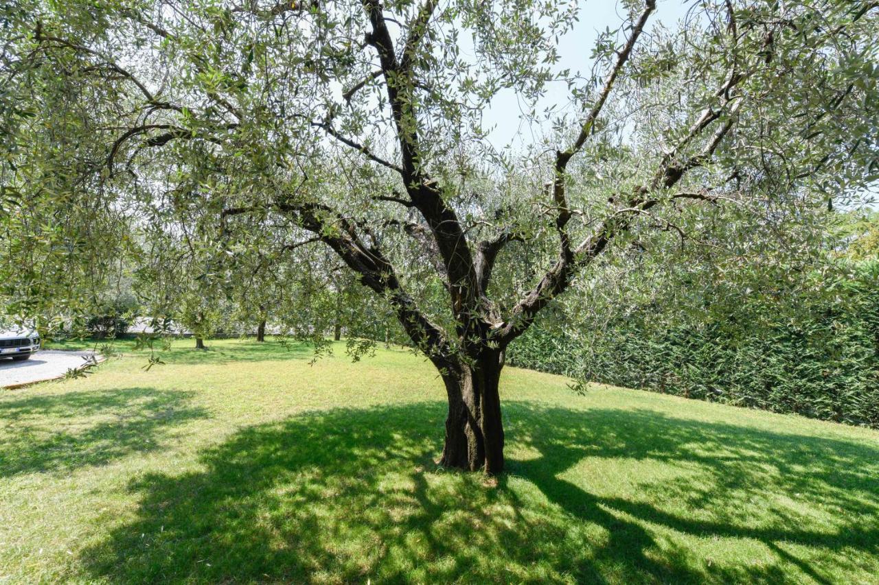 Il Giardino degli Ulivi - hotels in Calvagese della Riviera Lake Garda