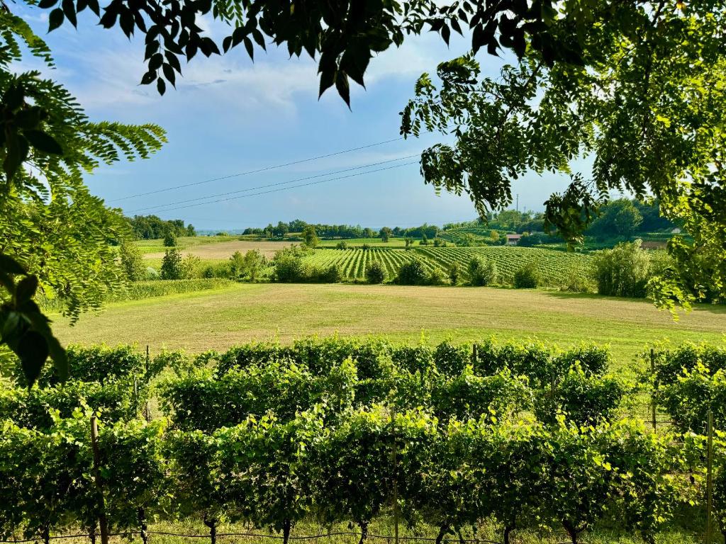 Residenza Le Vigne - holiday apartments in Pozzolengo Lake Garda