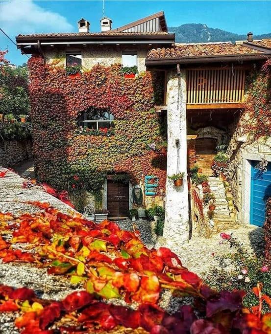 Rustico La Colonna - Tremosine sul Garda - hotels in Tremosine sul Garda Lake Garda