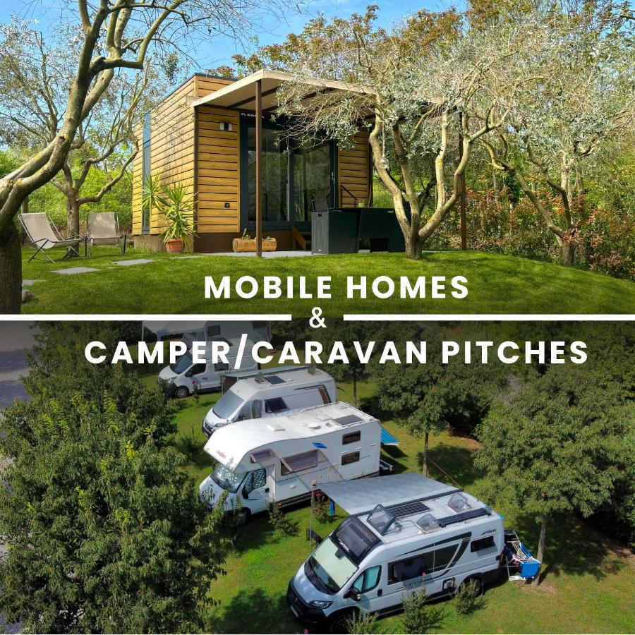 Seregnér Agricamping & Homes - Adults Only 18 - hotels in Monzambano Lake Garda
