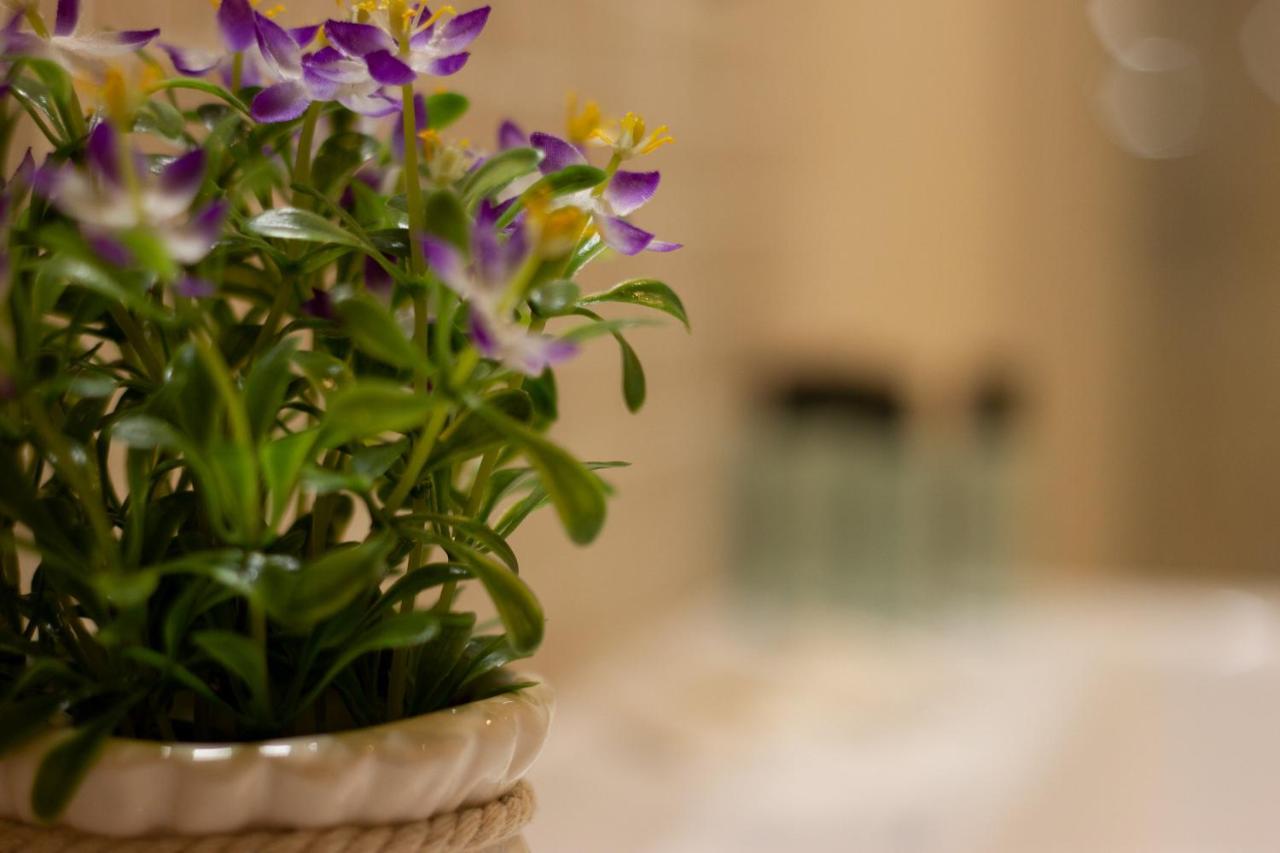 Suite Corallo - Smart Holiday - hotels in Mantova Lake Garda