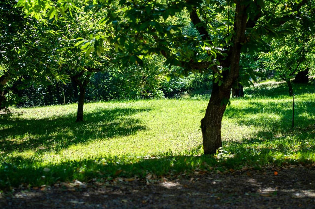Tenuta I Maroneri - hotels in Drena Lake Garda