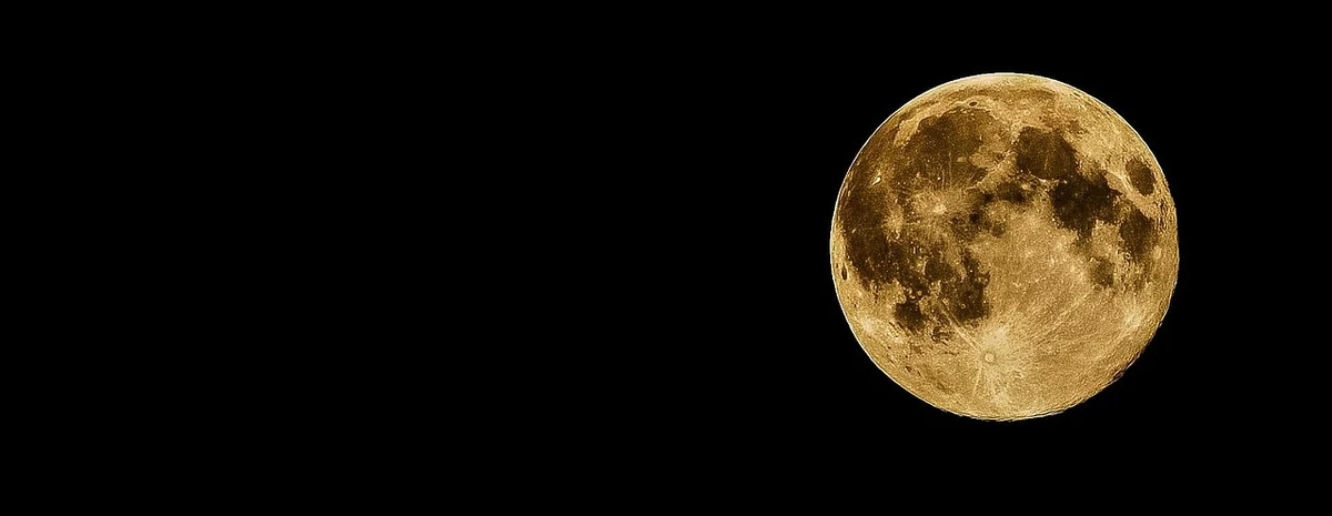 agrifoglio, Roveré della Luna — Musei e Monumenti Lago di Garda
