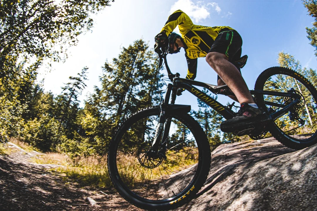 Bike Park Barbieri, Valeggio sul Mincio — Sport e Attività Lago di Garda