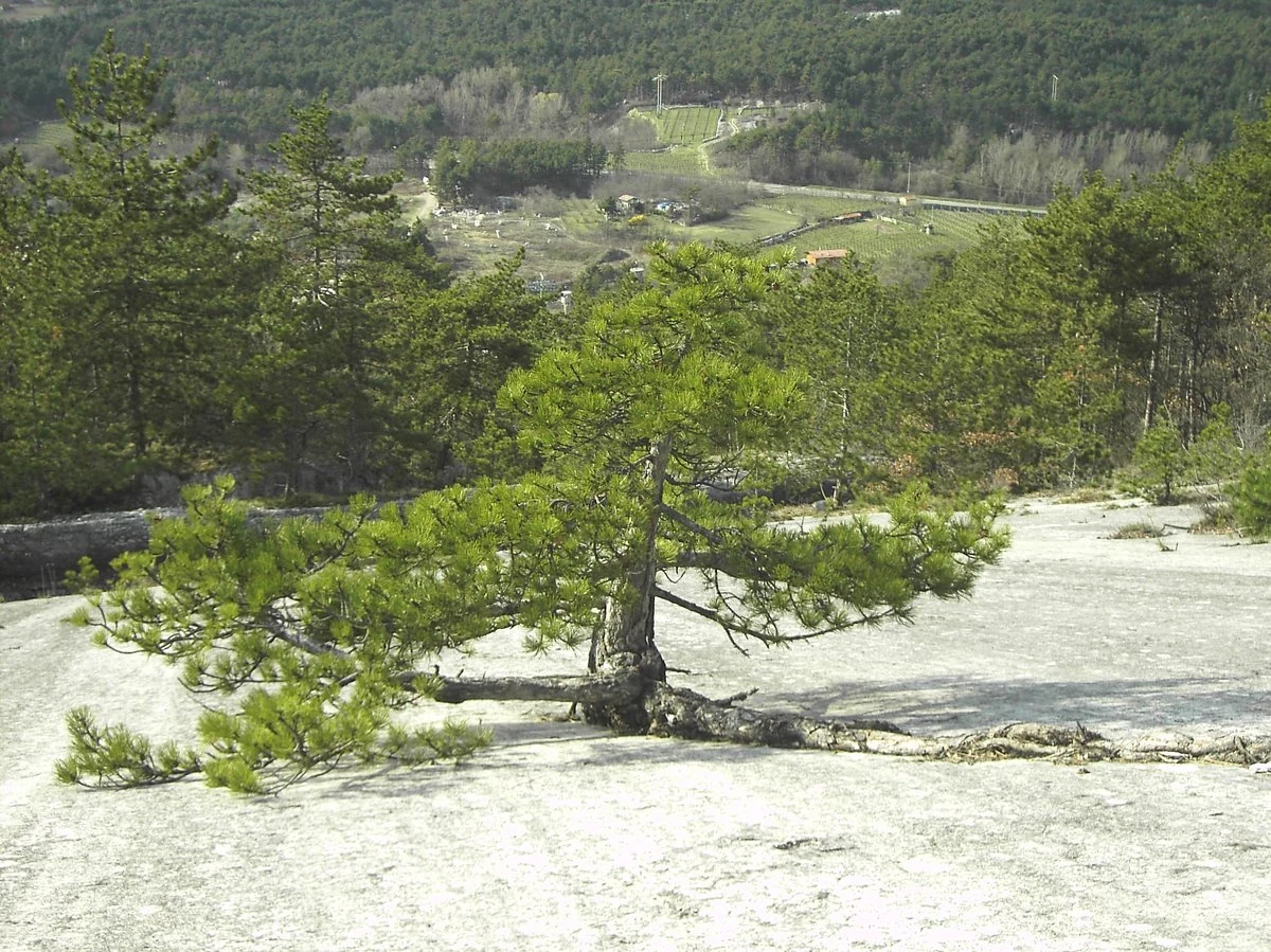 Biotopo Lavini di Marco, Rovereto — Castelli e Fortezze Lago di Garda
