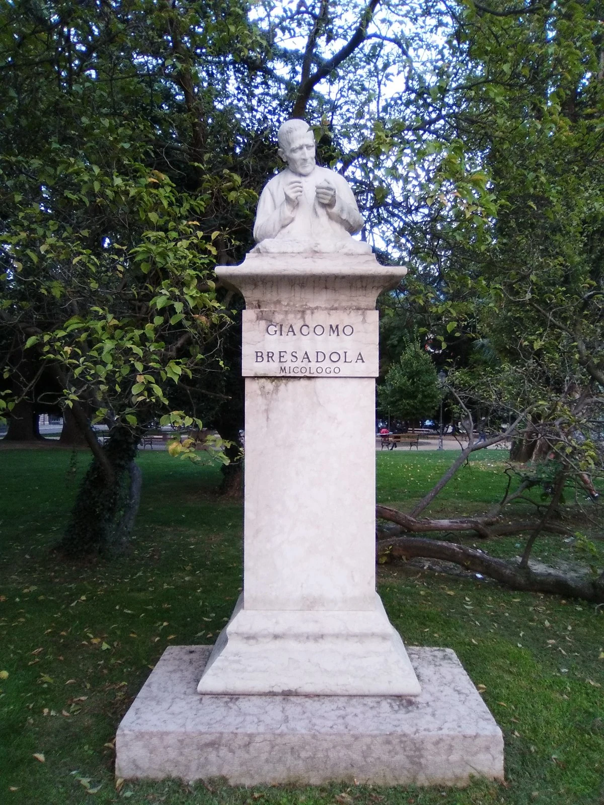 busto di Giacomo Bresadola, Trento — Musei e Monumenti Lago di Garda