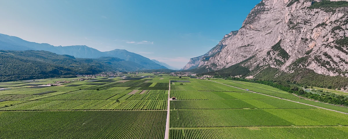 Cantina di Toblino — Cantine e Vino Lago di Garda