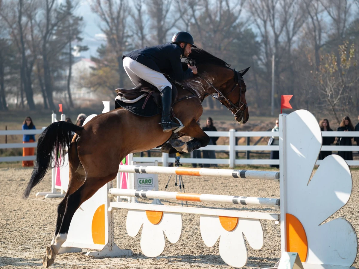 Circolo Ippico La Roccia, Villazzano — Sport e Attività Lago di Garda