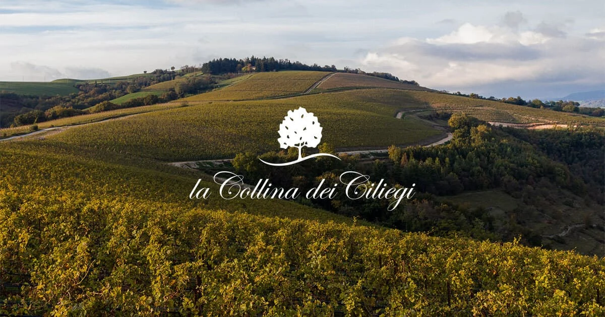La Collina dei Ciliegi, Grezzana — Ristoranti Michelin Lago di Garda