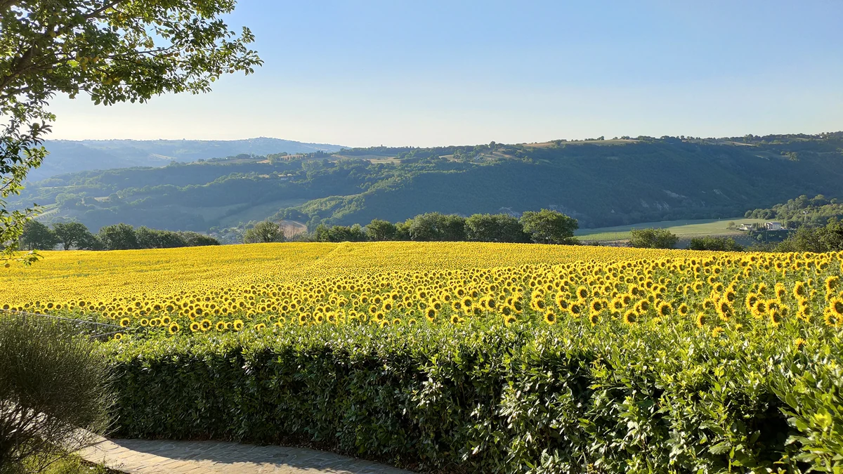 Le Querce, Pieve d'Olmi — Sport e Attività Lago di Garda