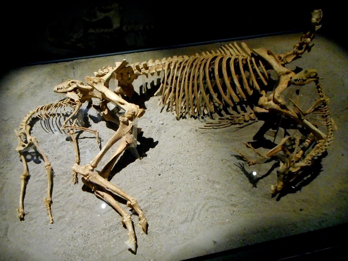 Museo Archeologico di Povegliano Veronese, Povegliano Veronese — Musei e Monumenti Lago di Garda