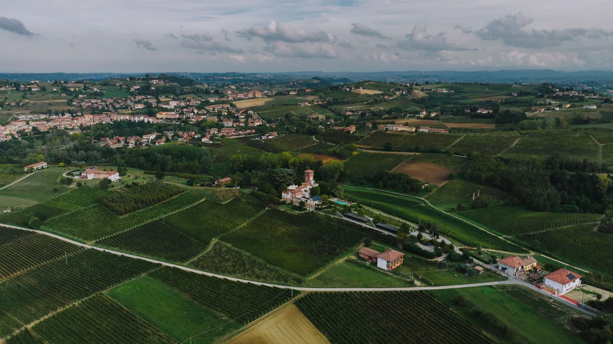 Vigneti Villabella — Bardolino &amp; Chiaretto DOC, Calmasino di Bardolino — Cantine e Vino Lago di Garda