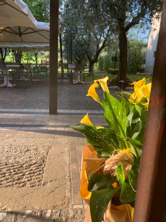 Rustico di Benellini Angela - bed and breakfast in Polpenazze del Garda Lake Garda