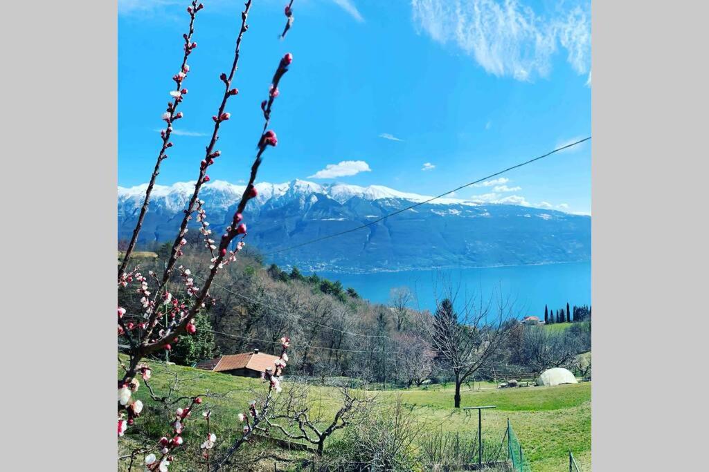 VillaTullia Ferienhaus mit Seesicht Gardasee - holiday apartments in Tignale Lake Garda